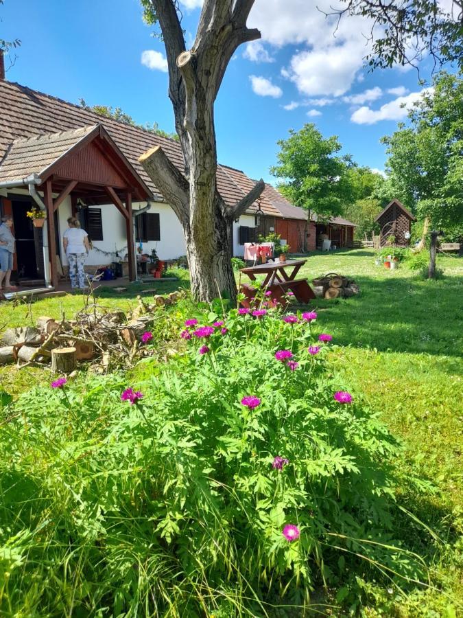 Harmat Porta Villa Galambok Buitenkant foto